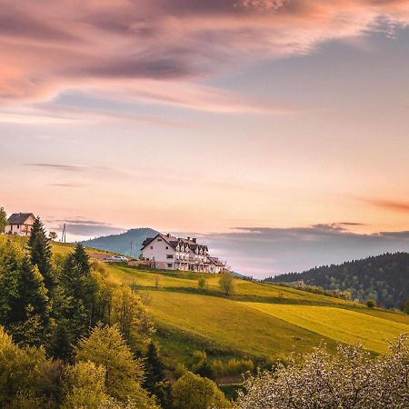 Blizej Nieba Bed and Breakfast Skrzydlna Eksteriør billede