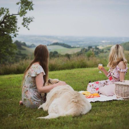 Blizej Nieba Bed and Breakfast Skrzydlna Eksteriør billede