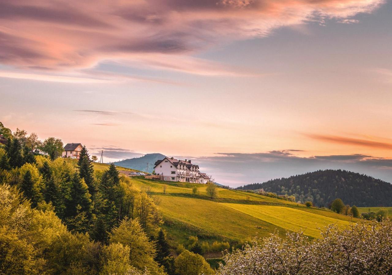 Blizej Nieba Bed and Breakfast Skrzydlna Eksteriør billede
