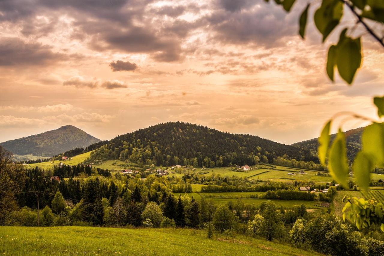 Blizej Nieba Bed and Breakfast Skrzydlna Eksteriør billede