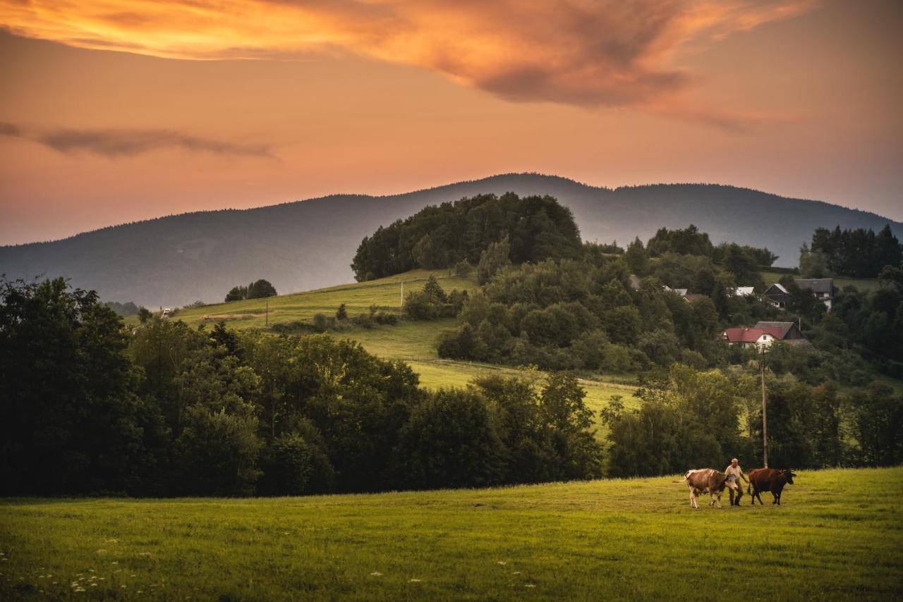 Blizej Nieba Bed and Breakfast Skrzydlna Eksteriør billede